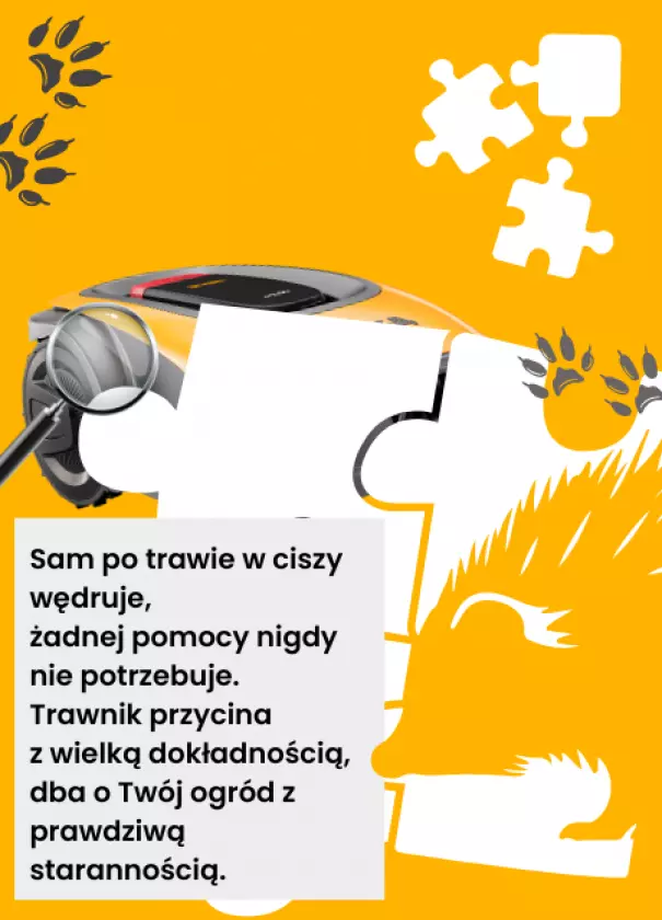 Znajdź jeża i zawalcz o nagrody!